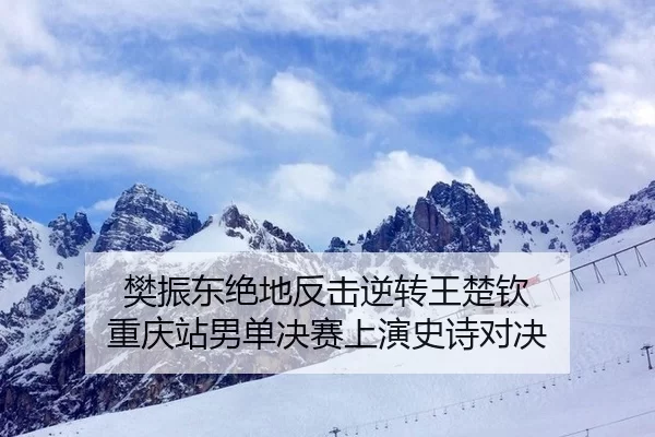 fan-zhen-dong-jue-di-fan-ji-ni-zhuan-wang-chu-qin-chong-qing-zhan-nan-dan-jue-sai-shang-yan-shi-shi-dui-jue-2-388.jpg